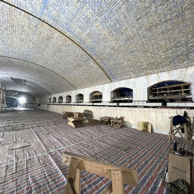 Comprar Linha de Fabricação de Vidro Plano de 350 TPD - Equipamento de Moldagem em Banho de Estanho + Forno de Recozimento Fabricação em linha